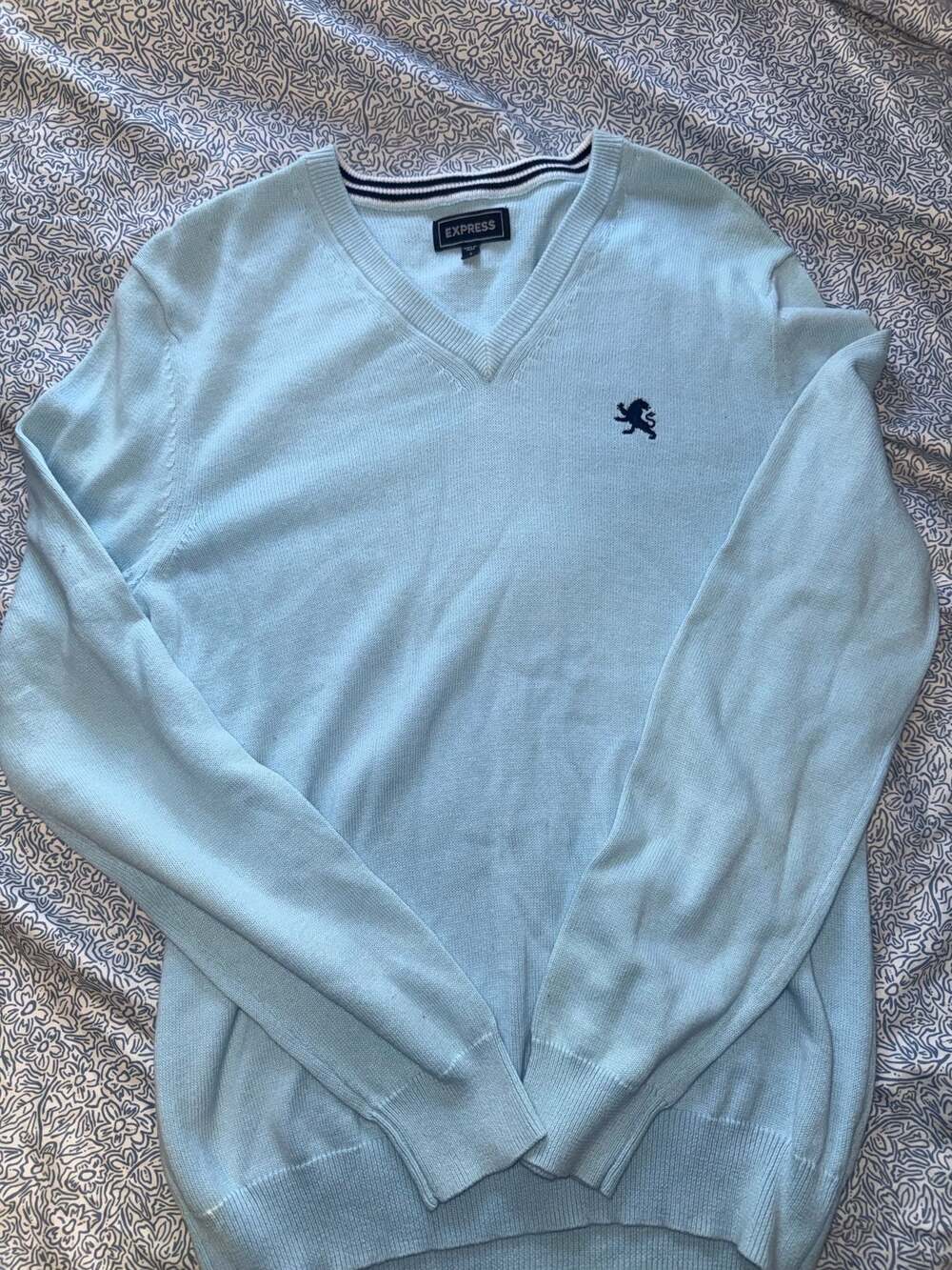 Express Mens V-Neck Light Blue Pullover Long Sleeve Cotton Sweater Size S